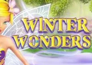 Winter Wonders